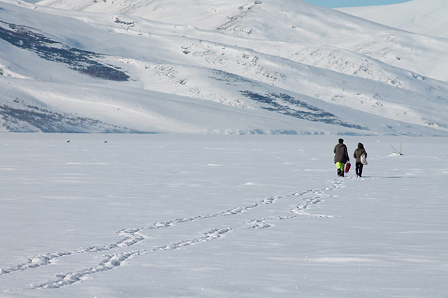 cildir-golu-uzerinde-balikcilarla-ve-kurtlar-bir-arada-(8).jpg