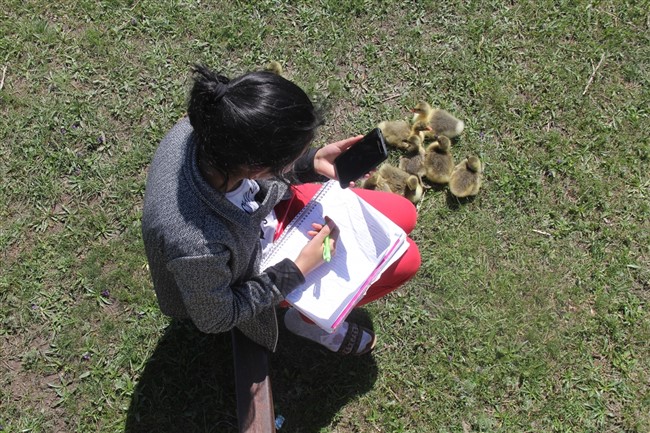 derslerini-kaz-ve-kus-sesleri-arasinda-ebadan-takip-ediyor-(3).jpg