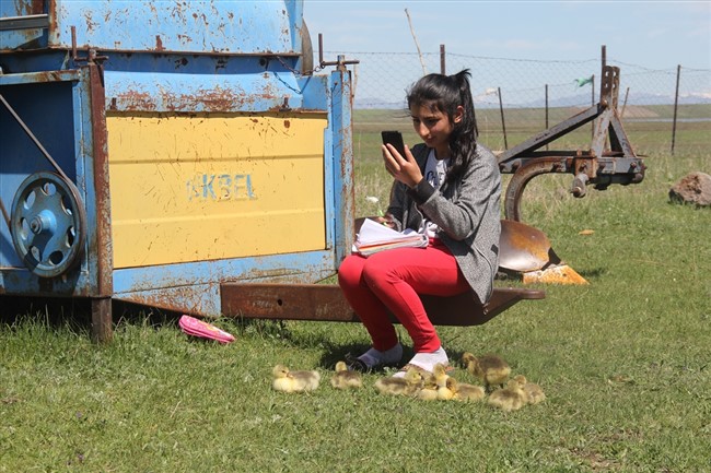 derslerini-kaz-ve-kus-sesleri-arasinda-ebadan-takip-ediyor-(8).jpg