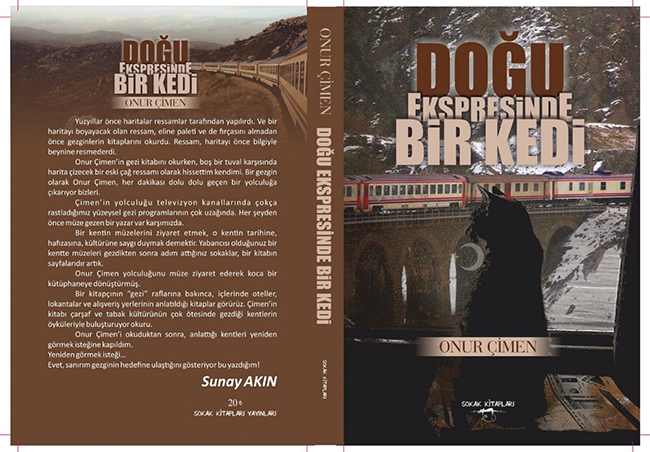 dogu-ekspresinde-bir-kedi-(2)-001.jpg