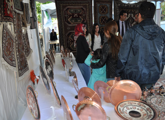 dsc_0146.jpg dsc_0146.jpg