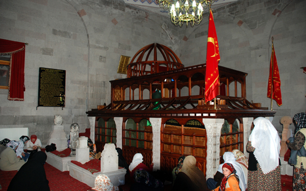 fd02ad7e65.jpg