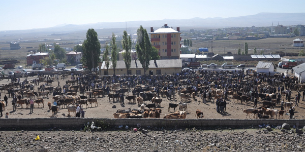 hayvan-pazari,-camur-pazari-oldu.jpg