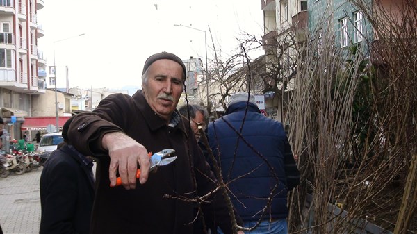 kagizman’a-bahar-geldi,-fidan-satislari-basladi-(2).jpg