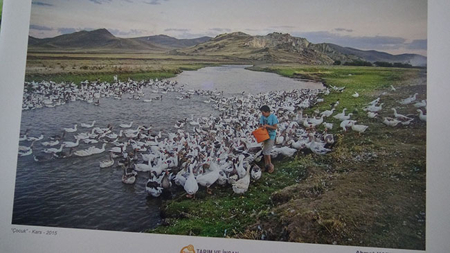 kars’ta-8.-tarim-ve-insan-fotograf-sergisi-(5).jpg