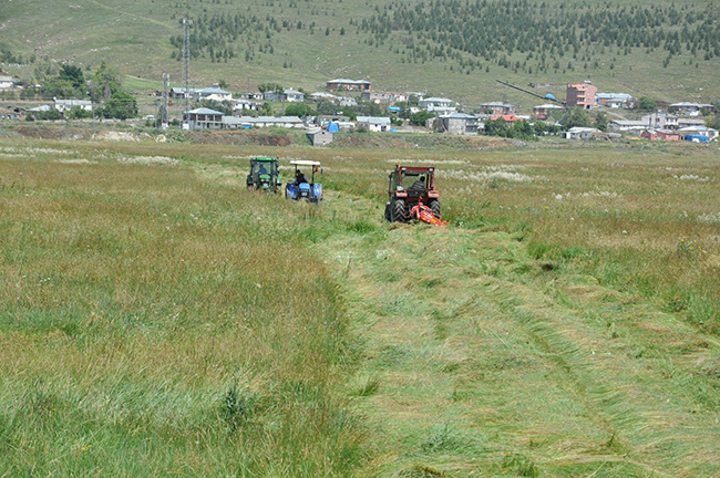 kars’ta-ciftcilerin-ot-bicme-mesaisi-basladi--(4).jpg