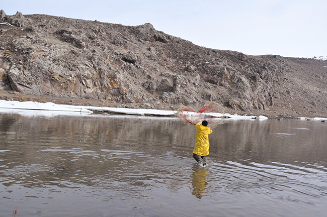kars’ta-eriyen-buzlar-balikcilara-yaradi-(2).jpg