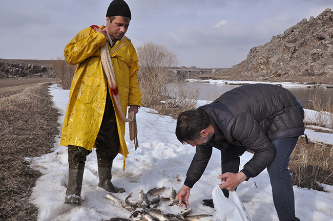 kars’ta-eriyen-buzlar-balikcilara-yaradi-(4).jpg