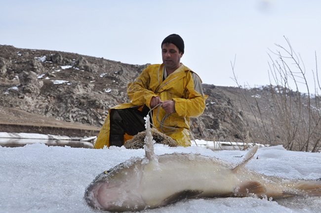 kars’ta-eriyen-buzlar-balikcilara-yaradi-(5).jpg