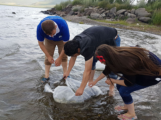 kars’ta-gollere-100-bin-yavru-sazan-baligi-birakildi-(5).jpg