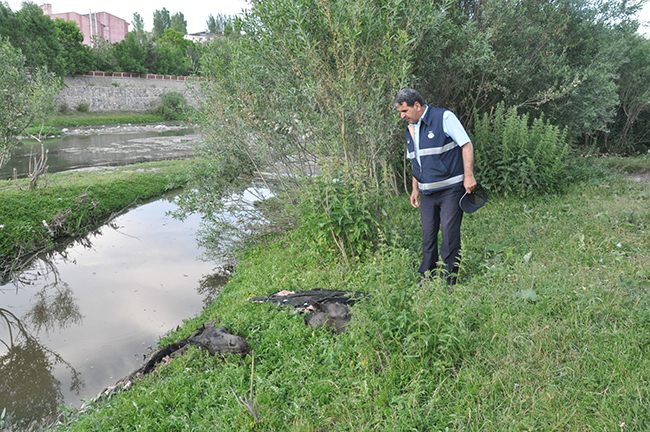kars’ta-kesik-baslarin-bedenleri-araniyor!-(1).jpg