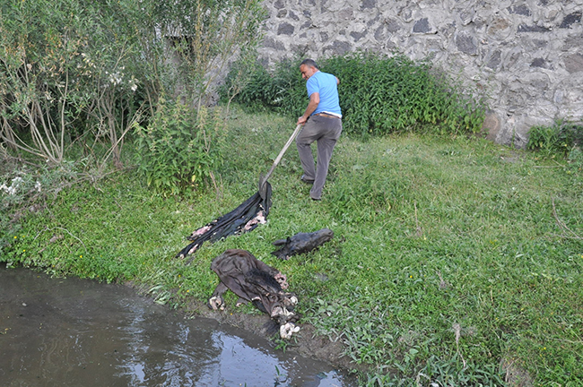 kars’ta-kesik-baslarin-bedenleri-araniyor!-(3).jpg