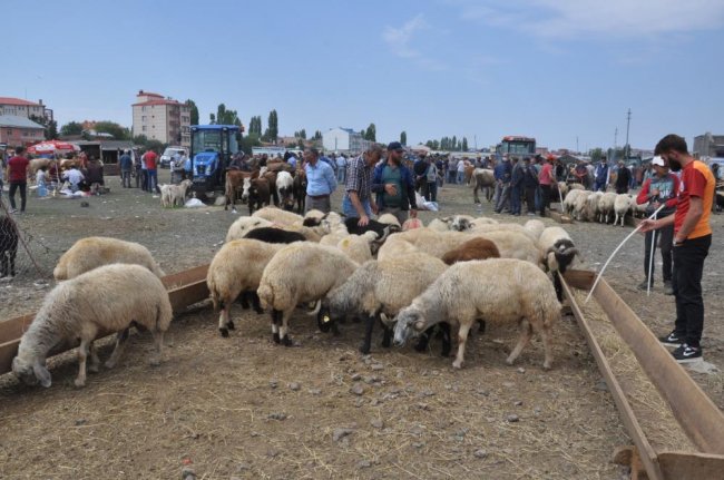 kars’ta-kurban-pazari’nda-son-gun-yogunlugu-(2).jpg