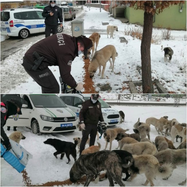 kars’ta-polis,-sokak-hayvanlarina-yiyecek-birakti-(1).jpg