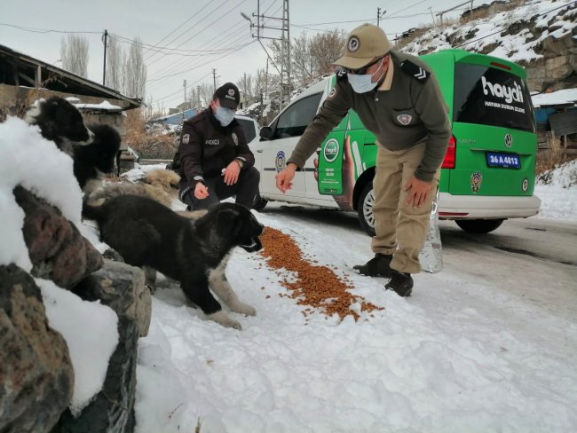 kars’ta-polis,-sokak-hayvanlarina-yiyecek-birakti-(4).jpg