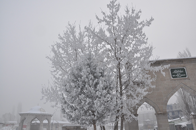 kars’ta-sis,-soguk-hava-ve-kiragi-hayati-olumsuz-etkiledi--(2).jpg