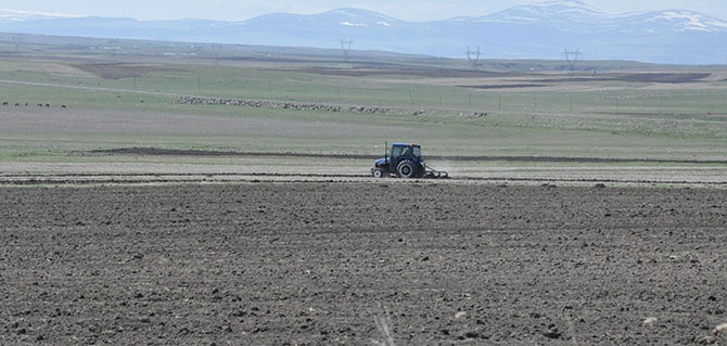 kars’ta-tarla-surumu-basladi--(1).jpg