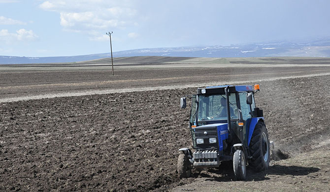kars’ta-tarla-surumu-basladi--(3).jpg
