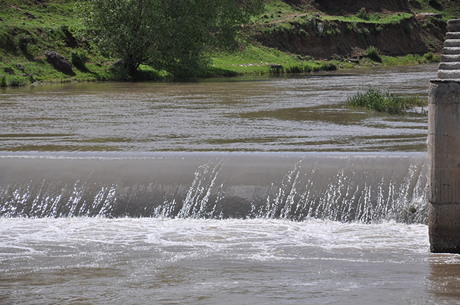 kars’ta-tatli-su-kefallerinin-olum-gocu-basladi--(1).jpg