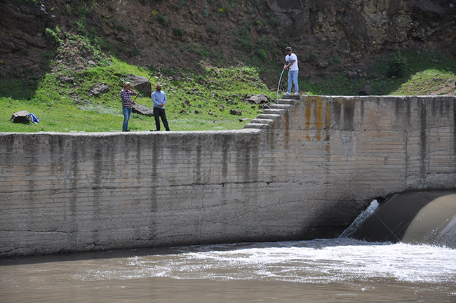 kars’ta-tatli-su-kefallerinin-olum-gocu-basladi--(2).jpg