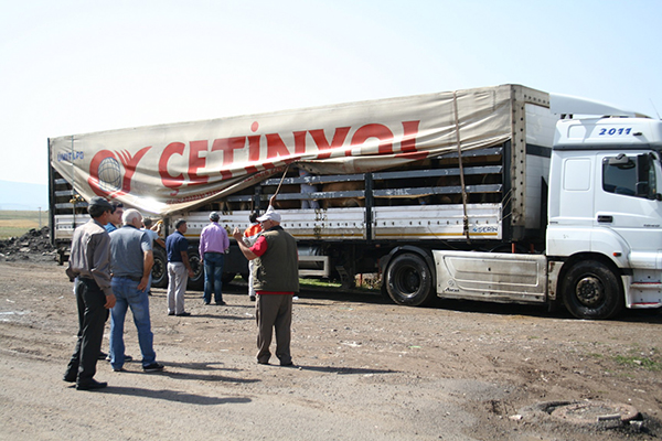 kars’tan-80-ile-kurban-sevkiyati--(2).jpg
