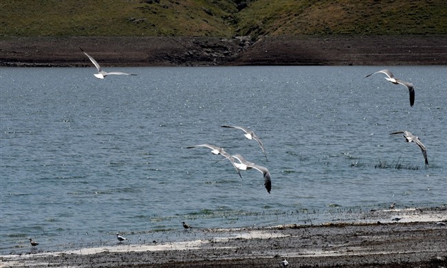 kars-baraj-golu-gocmen-kuslarin-yeni-adresi-oldu-(3).jpg