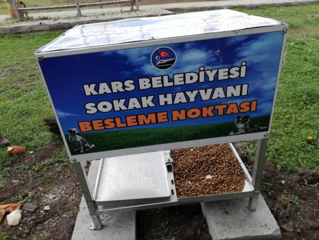 kars-belediyesi,-turkiye’deki-bircok-sehirde-oldugu-gibi-muhtelif-sehirdeki-muhtelif-yerlere-besleme-noktalari-olusturarak-sokak-hayvanlarinin-magdur-etmeme-adina-besleme-calismalarini-surduruyor-(1).jpg