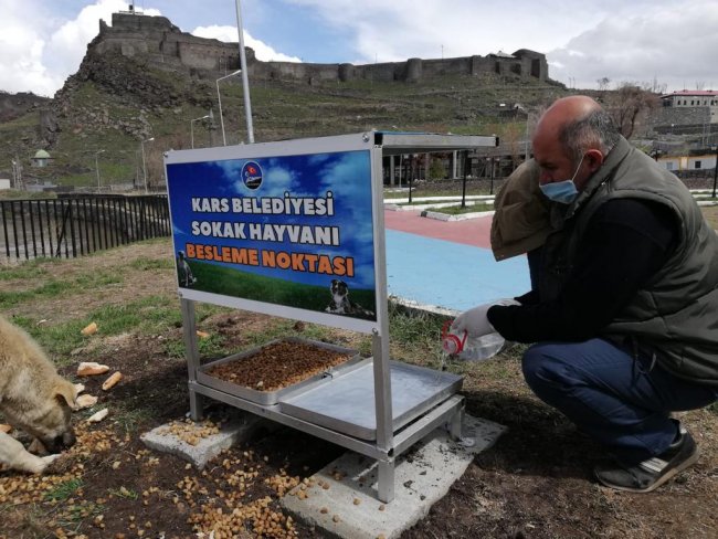 kars-belediyesi,-turkiye’deki-bircok-sehirde-oldugu-gibi-muhtelif-sehirdeki-muhtelif-yerlere-besleme-noktalari-olusturarak-sokak-hayvanlarinin-magdur-etmeme-adina-besleme-calismalarini-surduruyor-(3).jpg