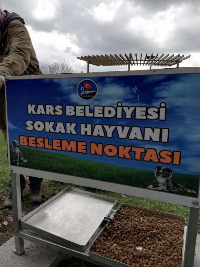 kars-belediyesi,-turkiye’deki-bircok-sehirde-oldugu-gibi-muhtelif-sehirdeki-muhtelif-yerlere-besleme-noktalari-olusturarak-sokak-hayvanlarinin-magdur-etmeme-adina-besleme-calismalarini-surduruyor-(4).jpg