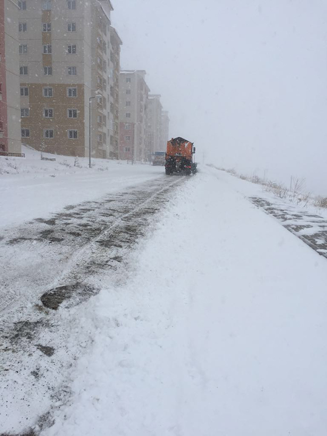 kars-belediyesi-kar-ekipleri-724-gorevde-(8).jpeg