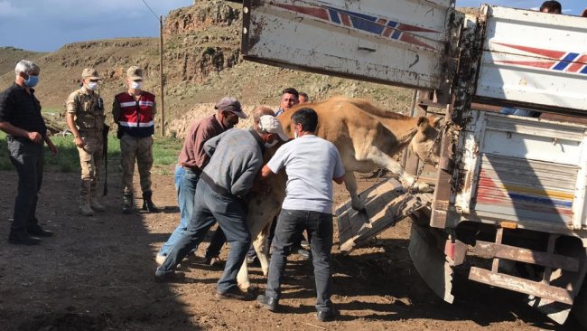kars-jandarmadan-hayvan-hizsizlarina-gecit-yok-(3).jpg