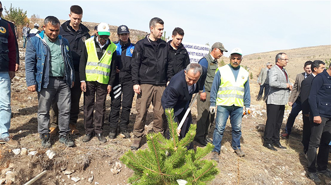 kars-polisi,-yanan-fidanlarin-yerine-500-cam-fidani-dikti-(1).jpg
