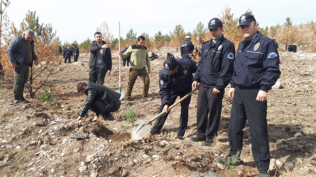 kars-polisi,-yanan-fidanlarin-yerine-500-cam-fidani-dikti-(3).jpg