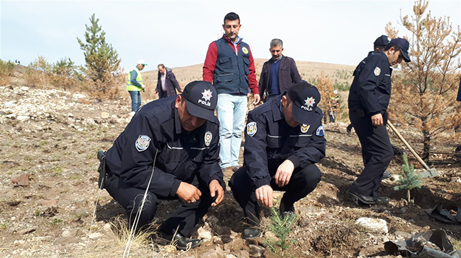 kars-polisi,-yanan-fidanlarin-yerine-500-cam-fidani-dikti-(4).jpg