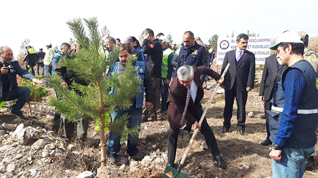 kars-polisi,-yanan-fidanlarin-yerine-500-cam-fidani-dikti.jpg