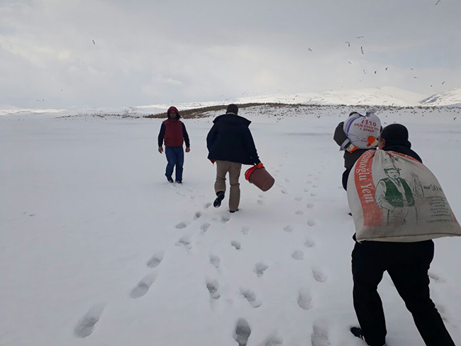 kars-valisi-rahmi-doganin-talimatiyla-kuslara-yem-birakildi-(1).jpg