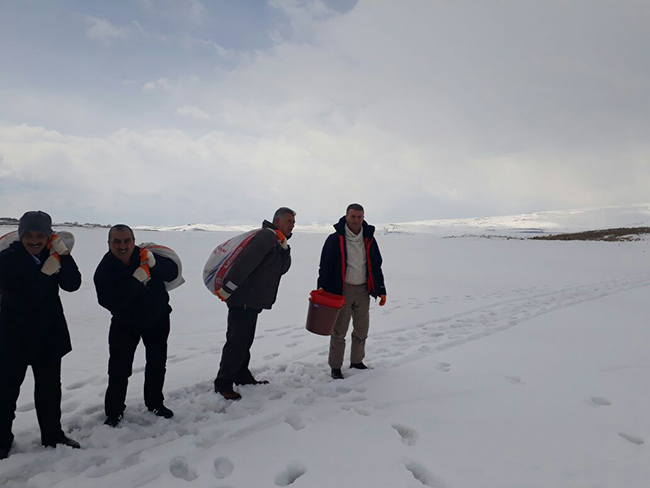 kars-valisi-rahmi-doganin-talimatiyla-kuslara-yem-birakildi-(2).jpg