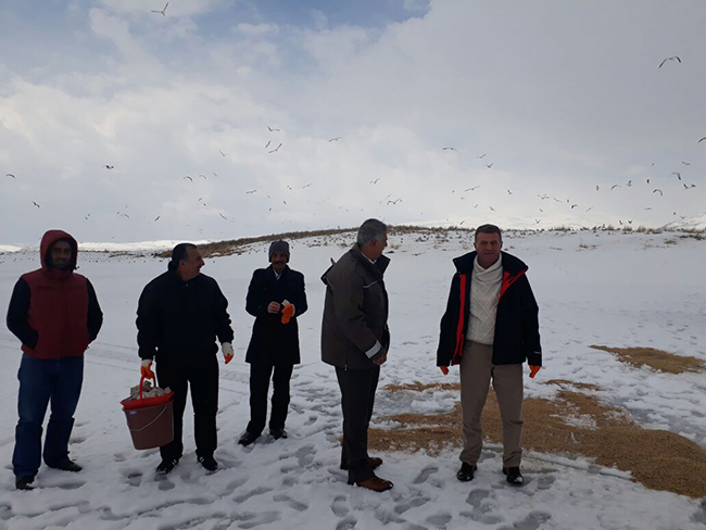 kars-valisi-rahmi-doganin-talimatiyla-kuslara-yem-birakildi-(4).jpg