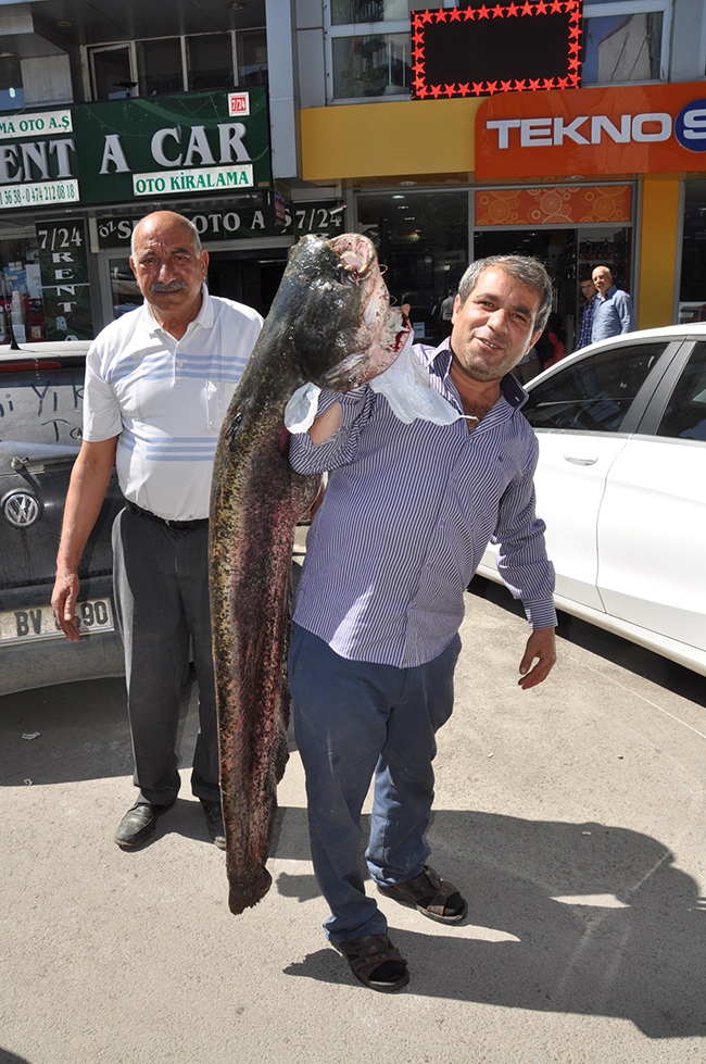 karsta-40-kiloluk-yayin-baligi-yakalandi--(2).jpg