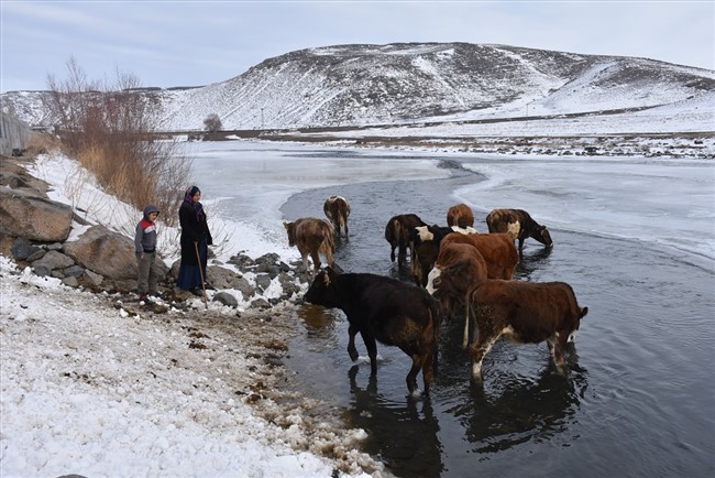 karsta-besiciler-caydaki-buzlari-kirarak-hayvanlarina-su-veriyor-(7).jpg