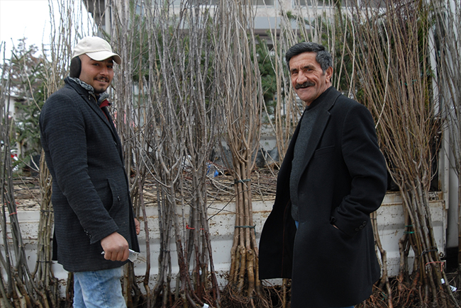 karsta-fidan-satislari-basladi-(2).jpg