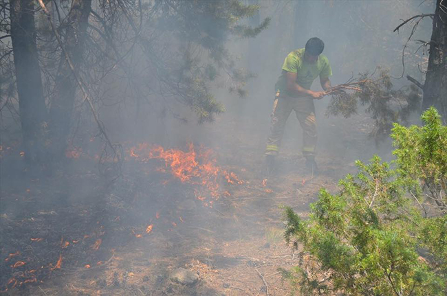 karsta-orman-yangini-10-hektarlik-alan-zarar-gordu-(3).jpg