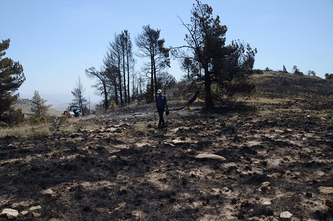 karsta-orman-yangini-10-hektarlik-alan-zarar-gordu-(4).jpg