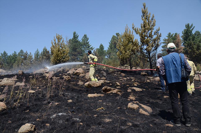 karsta-orman-yangini-10-hektarlik-alan-zarar-gordu-(5).jpg