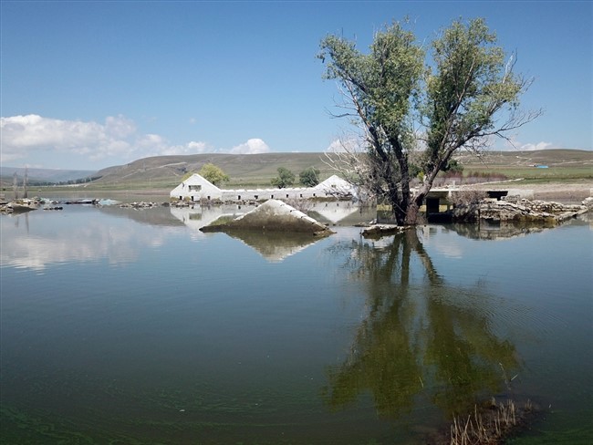 karsta-su-tutmaya-baslayan-baraj-kuslarla-senlendi-(6).jpg