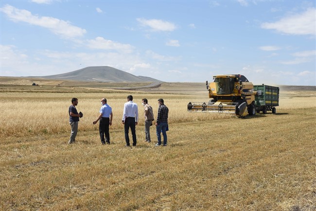 karsta-tarlada-urun-kaybini-en-aza-indirmek-icin-bicerdover-denetimi-yapiliyor-(1).jpg
