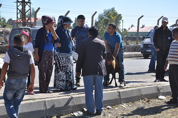 karsta-vatandaslar-bayramin-ilk-gununde-kurban-pazarina-kostu-(2).jpg