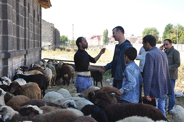 karsta-vatandaslar-bayramin-ilk-gununde-kurban-pazarina-kostu-(4).jpg