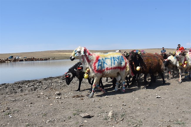 karsta-yasatilan-asirlik-gelenek-coban-bayrami-(13).jpg