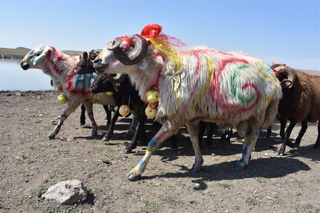 karsta-yasatilan-asirlik-gelenek-coban-bayrami-(4).jpg